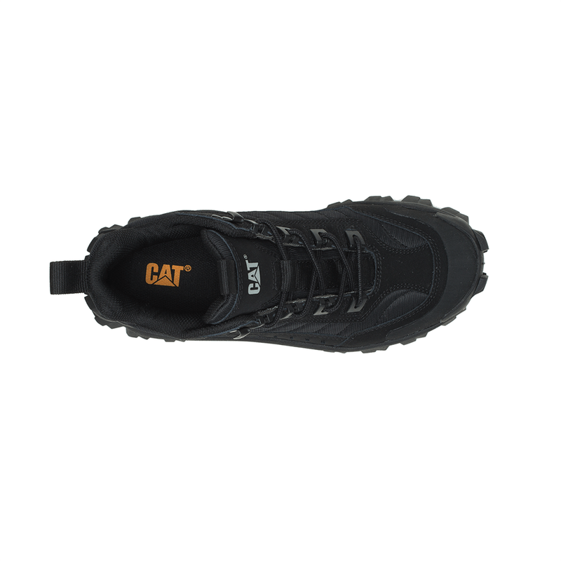 IMG-CAT268